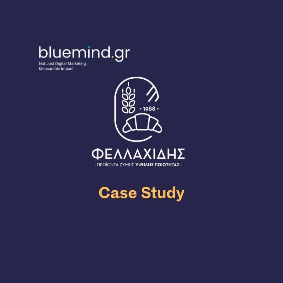 Κατασκευη ιστοσελιδας b2b για τη Φελλαχιδης ΑΒΕΕ από τη Bluemind.gr case study