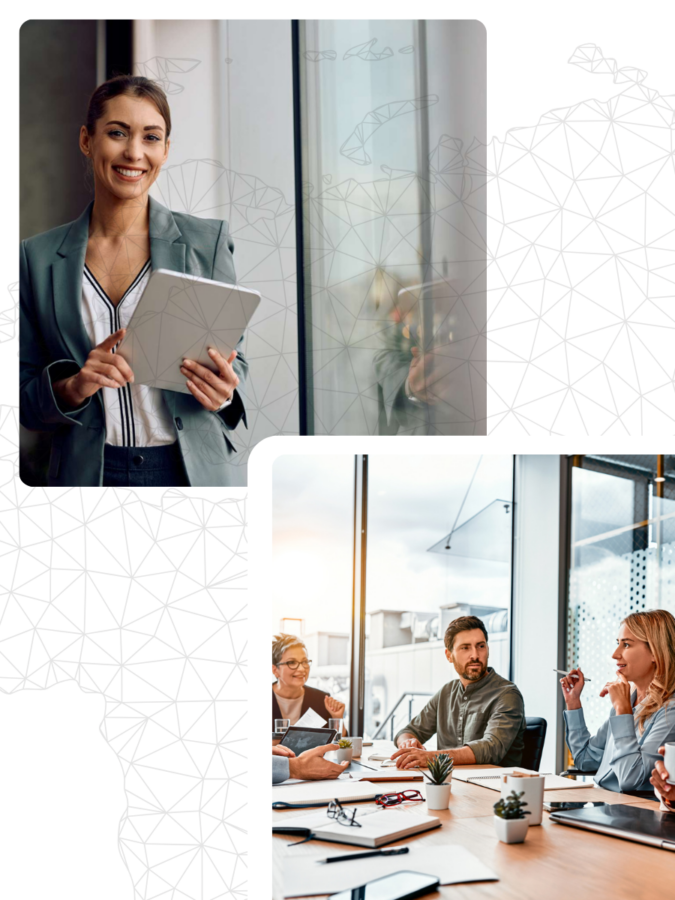 συχνες ερωτησεις bluemind