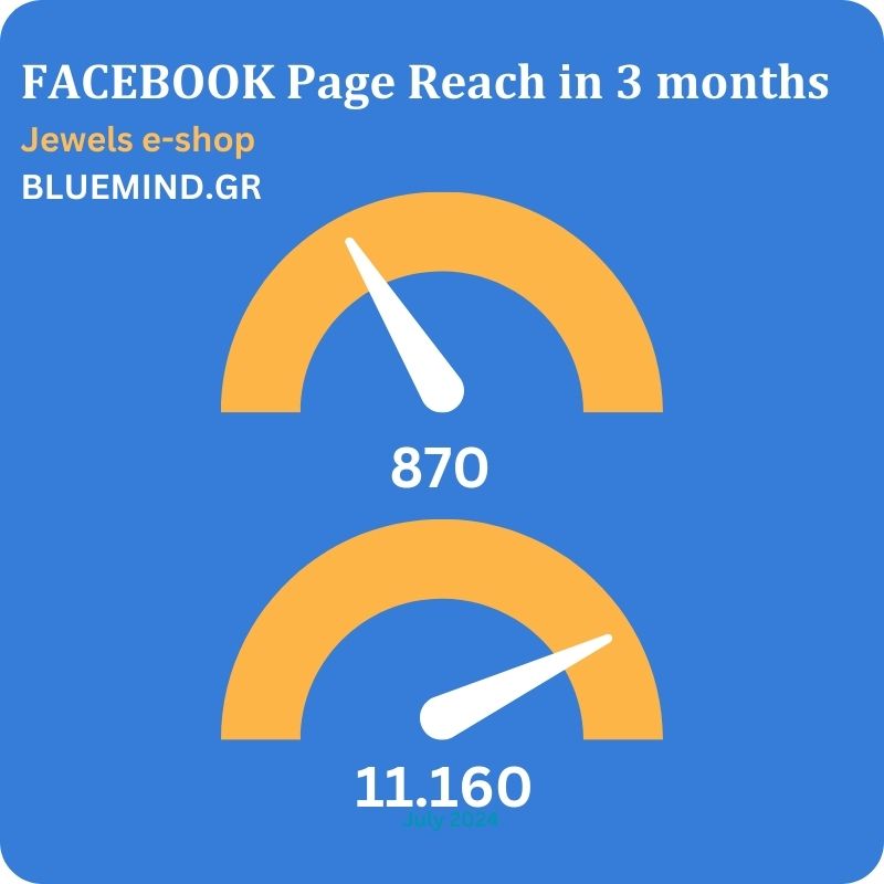 Facabook page αποτελεσματα σε 3 μήνες από τη Bluemind με facebook ads